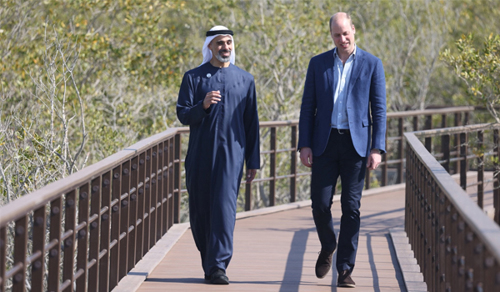 About Abu Dhabi Mangrove Initiative (ADMI)